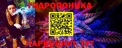 PSILOCYBIN Гусев