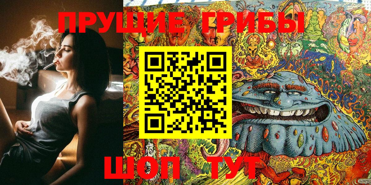 Галлюциногенные грибы Psilocybe  Вход с VPN  Ливны 